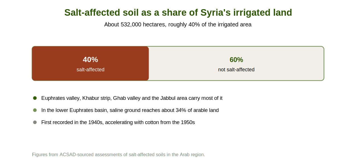 Salt-affected soil as a share of Syria's irrigated land.png
